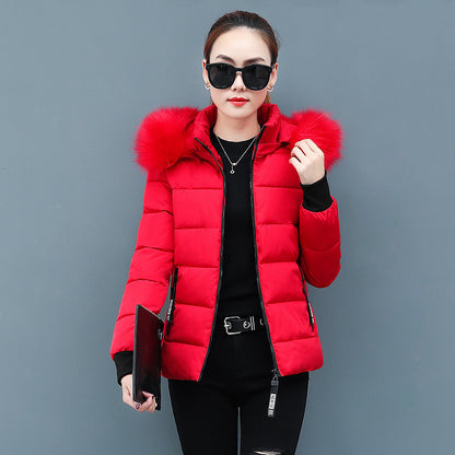 Shop stylish padded short jacket.