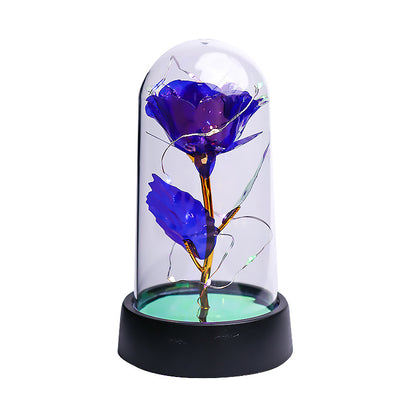 Preserved flower in lamp 